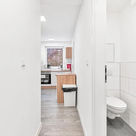 Raumschmide * 布拉河畔的海登海姆