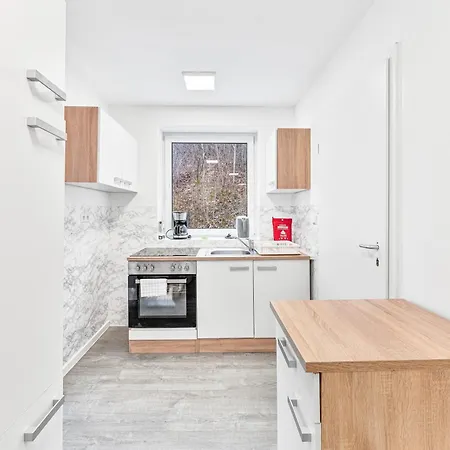 公寓 Raumschmide 布拉河畔的海登海姆